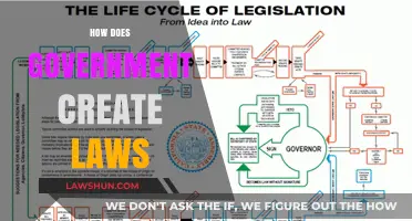 The Law-Making Process: How Governments Create Laws