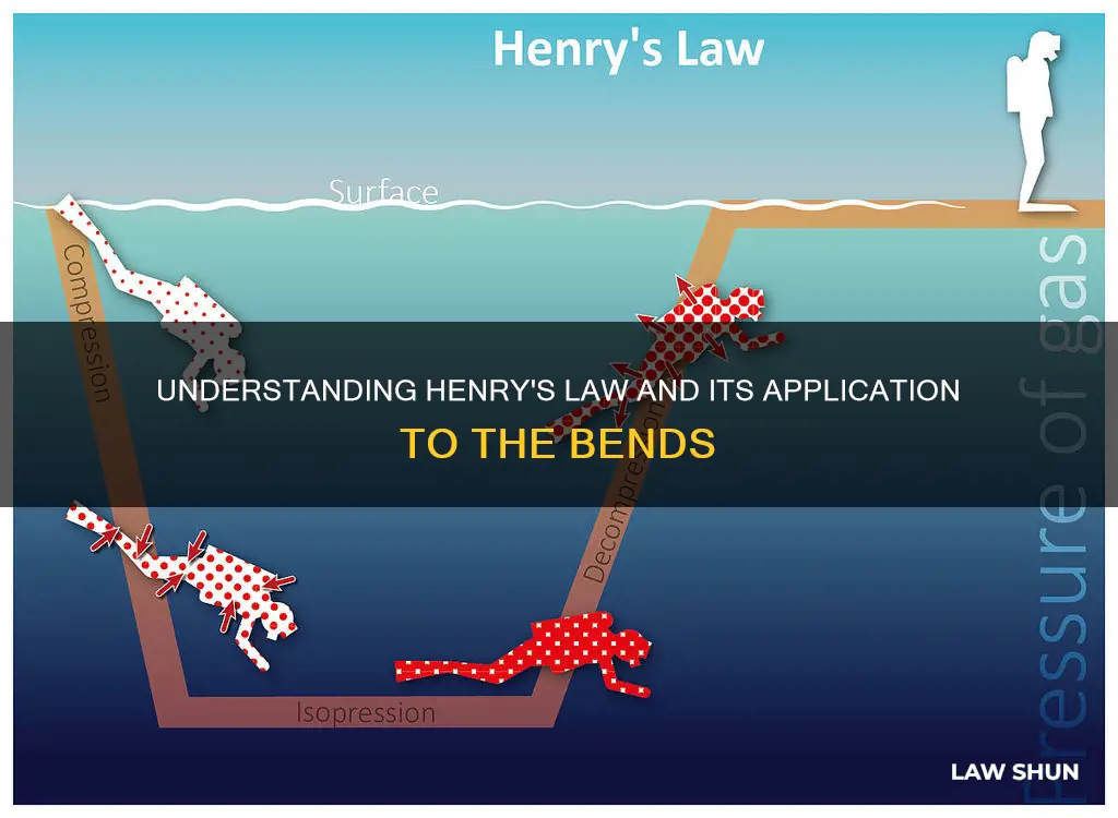 how does henerys law apply the bends