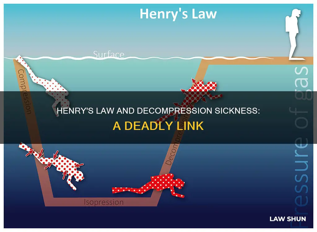 how does henrys law apply the bends