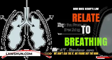 Henry's Law: Unveiling Its Crucial Role in Human Breathing Process