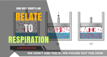 Henry's Law and Respiration: Unraveling Gas Exchange in Breathing