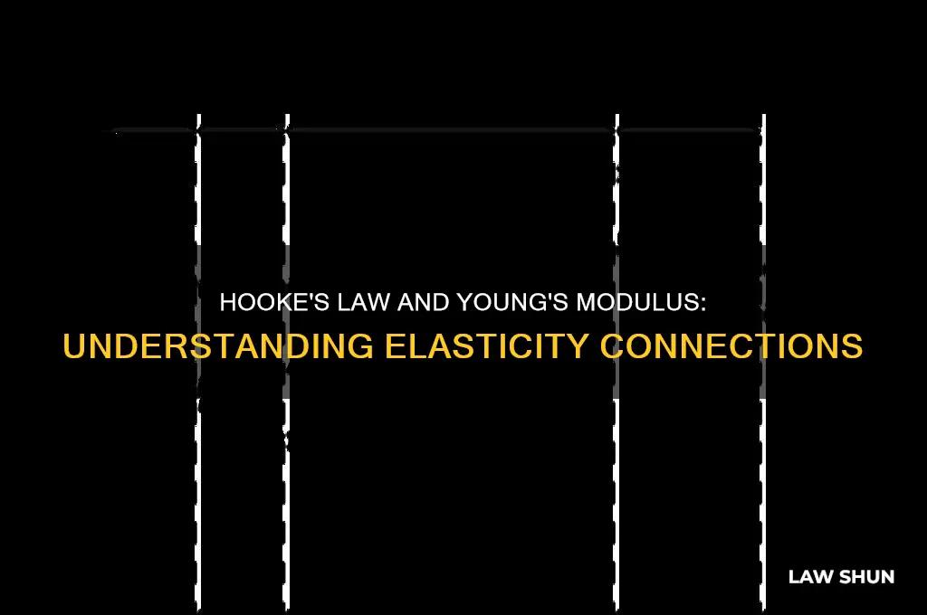 how does hookes law relate to youngs