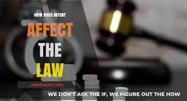 Understanding Intent's Role in Shaping Legal Outcomes and Consequences