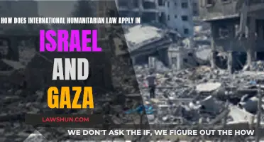 Humanitarian Law in Israel-Gaza: Who's Responsible?