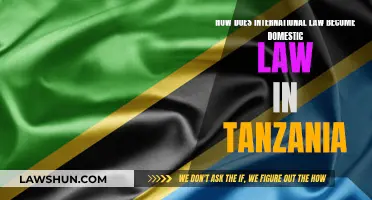 International Law's Domestic Adoption in Tanzania