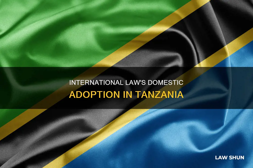 how does international law become domestic law in tanzania