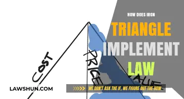 Exploring the Iron Triangle's Influence on Legal Implementation