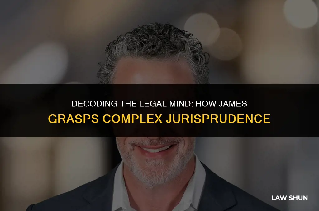 how does james understand the law