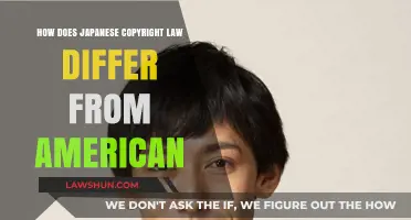 Comparing Japanese and American Copyright Laws: Key Differences Explained