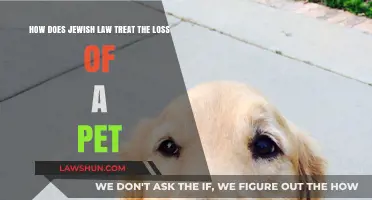 Jewish Law and Pet Loss: Mourning, Rituals, and Compassion