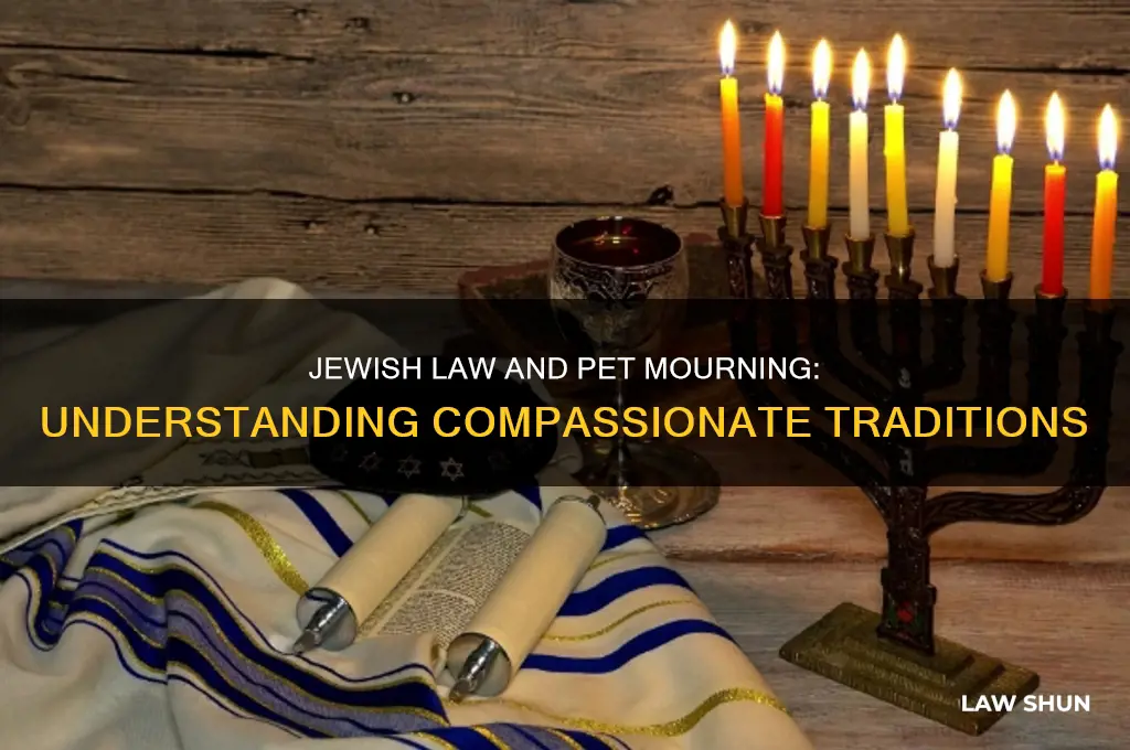 how does jewish law treat the morning of a pet