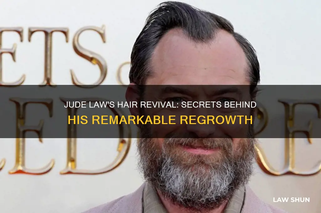 how does jude law