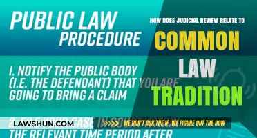 Judicial Review: Common Law's Evolution