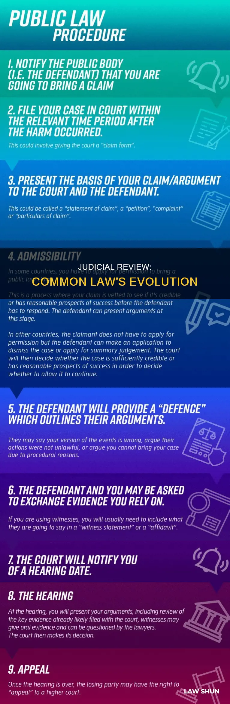 how does judicial review relate to common law tradition