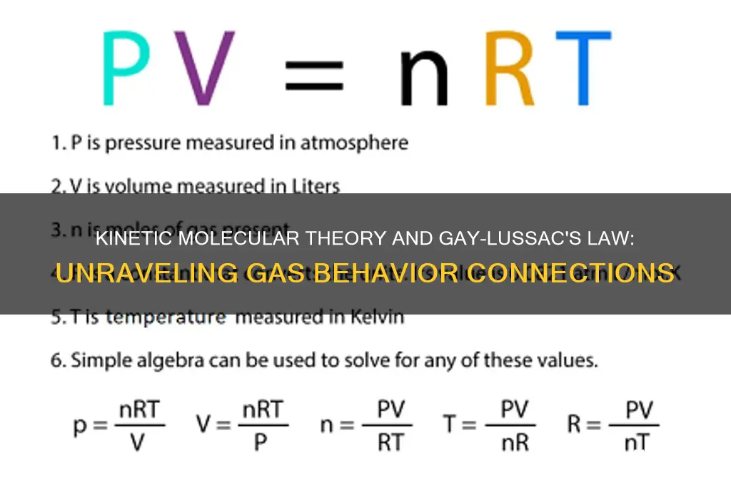 how does kinetic molecular theroy relate to gay lussacs law