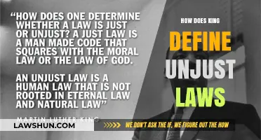 Defining Unjust Laws: A Critical Analysis of King's Perspective