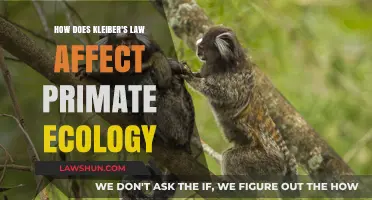 Kleiber's Law: Unlocking Metabolic Scaling Secrets in Primate Ecology