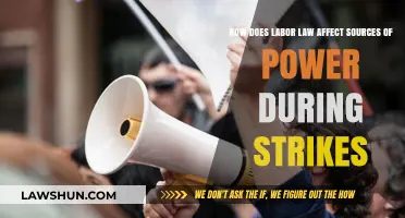 Labor Laws and Power Dynamics: Shaping Strike Outcomes and Strategies