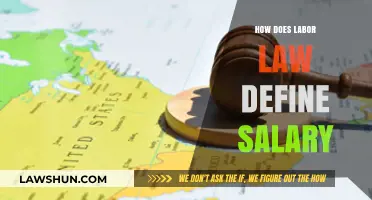Understanding Salary Definitions: A Comprehensive Guide to Labor Law's Perspective