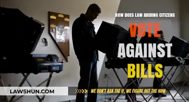 Voting Power: How Law-Abiding Citizens Influence and Oppose Bills