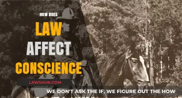 Law vs. Conscience: Navigating Moral Dilemmas in Legal Frameworks