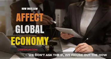 Legal Frameworks Shaping Global Economic Dynamics: Impact and Insights