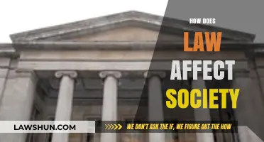 How Legal Frameworks Shape Social Norms and Community Dynamics