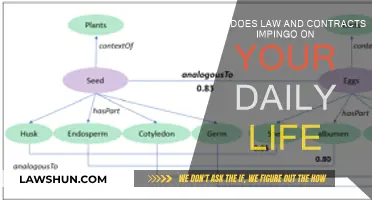 Laws and Contracts: Your Daily Life Guide