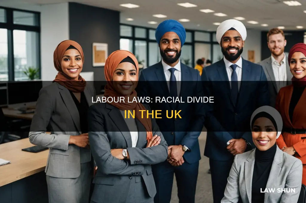 how does law and labour divide race uk essay