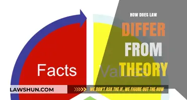 Exploring the Divide: Law vs. Theory in Practice