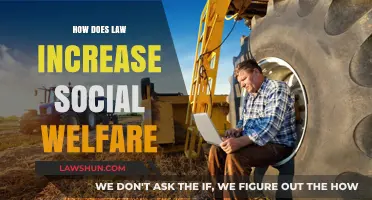 Enhancing Social Welfare Through Law: A Comprehensive Analysis
