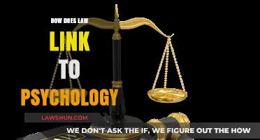 Exploring the Intricate Relationship Between Law and Psychology