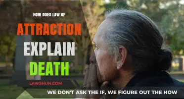 Law of Attraction and Death: Understanding Life's Transitions
