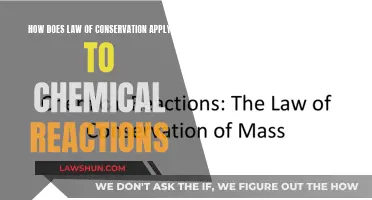 The Law of Conservation: Understanding Chemical Reactions