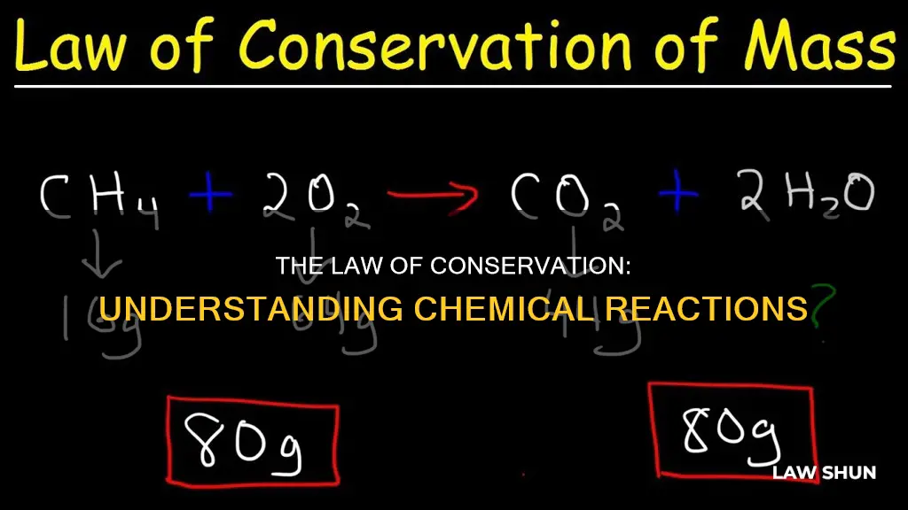 how does law of conservation apply to chemical reactions