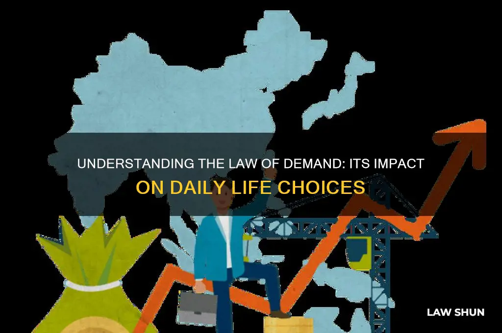 how does law of demand affect everyday living