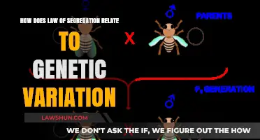 Law of Segregation: Unraveling Its Role in Genetic Variation