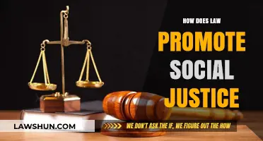 Upholding Equity: The Role of Law in Promoting Social Justice