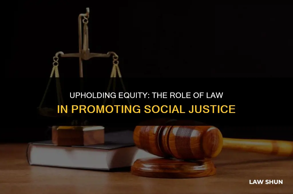 how does law promote social justice