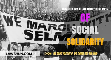 Social Solidarity: Law's Role and Impact