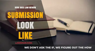 Understanding the Structure and Format of Law Review Submissions