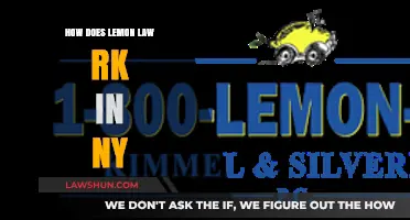 Understanding Lemon Law in NY: Your Rights and Remedies Explained