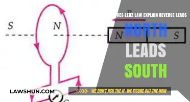 Lenz's Law Unveils Reverse Magnetic Polarity: North to South Explained