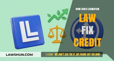 Revamping Your Credit Score: The Lexington Law Advantage