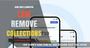 Unraveling the Process: How Lexington Law Tackles Collections