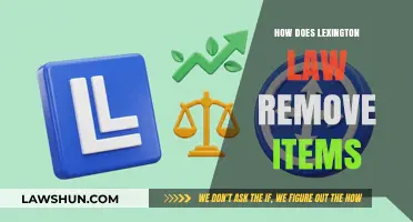 Unraveling the Process: How Lexington Law Removes Items from Your Credit Report