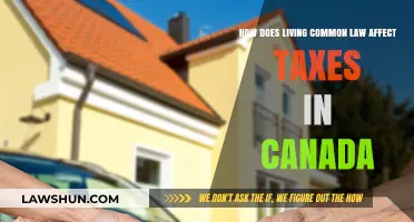 Common-Law Couples: Tax Implications in Canada