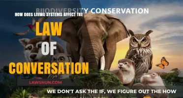 Living Systems: Redefining the Law of Conservation in Dynamic Ecosystems
