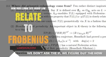 Lubin-Tate Group Law and Frobenius: A Key Connection Explained