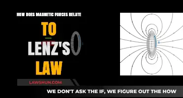 Magnetic Forces and Lenz's Law: Unraveling Electromagnetic Induction Principles